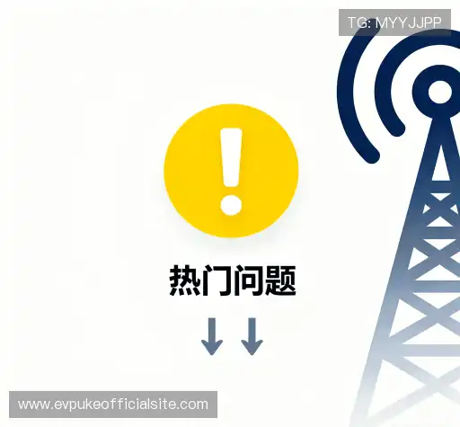 常见问题集